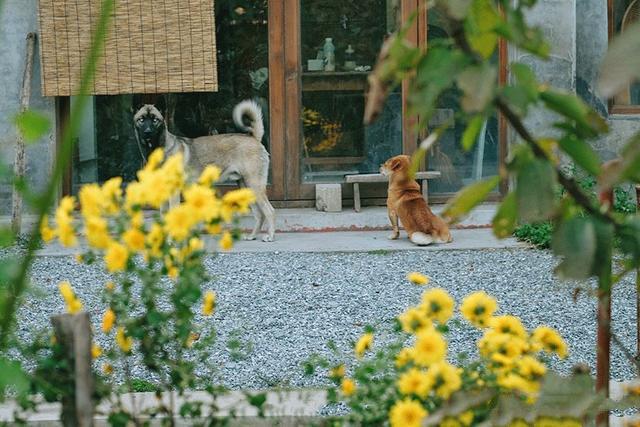 這是一個(gè)自由的私人島嶼，給居民一種舒適、溫暖和愛(ài)的感覺(jué)。在漫長(cháng)的歲月里，家是一個(gè)永恒、純潔而強大的存在。